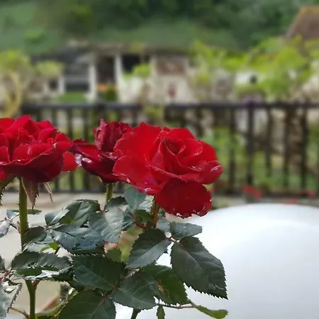 Chambres D'hotes Au Nid Des Thes Bed & Breakfast
