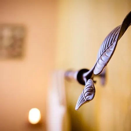 Chambres D'hotes Au Nid Des Thes Bed & Breakfast